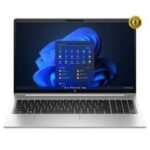 Pc Portable HP ProBook 450 G10 i5 13è Gén 16Go 512Go SSD - Silver
