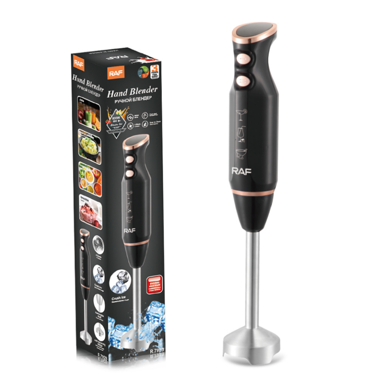 mixeur plongeant RAF R.793B vue de face