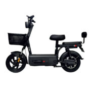 Moto Électrique ZEN 600W