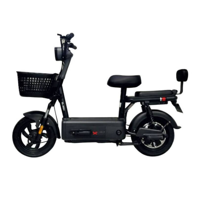 Moto Électrique ZEN 600W