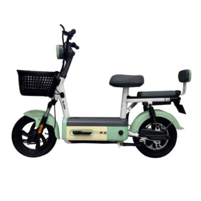 Moto Électrique ZEN 600W verte