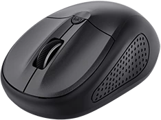 Souris